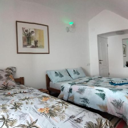 Doi Iepuri Daire Azuga Dış mekan fotoğraf