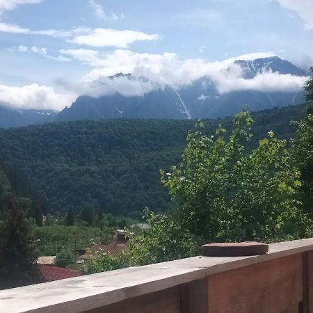 Doi Iepuri Daire Azuga Dış mekan fotoğraf