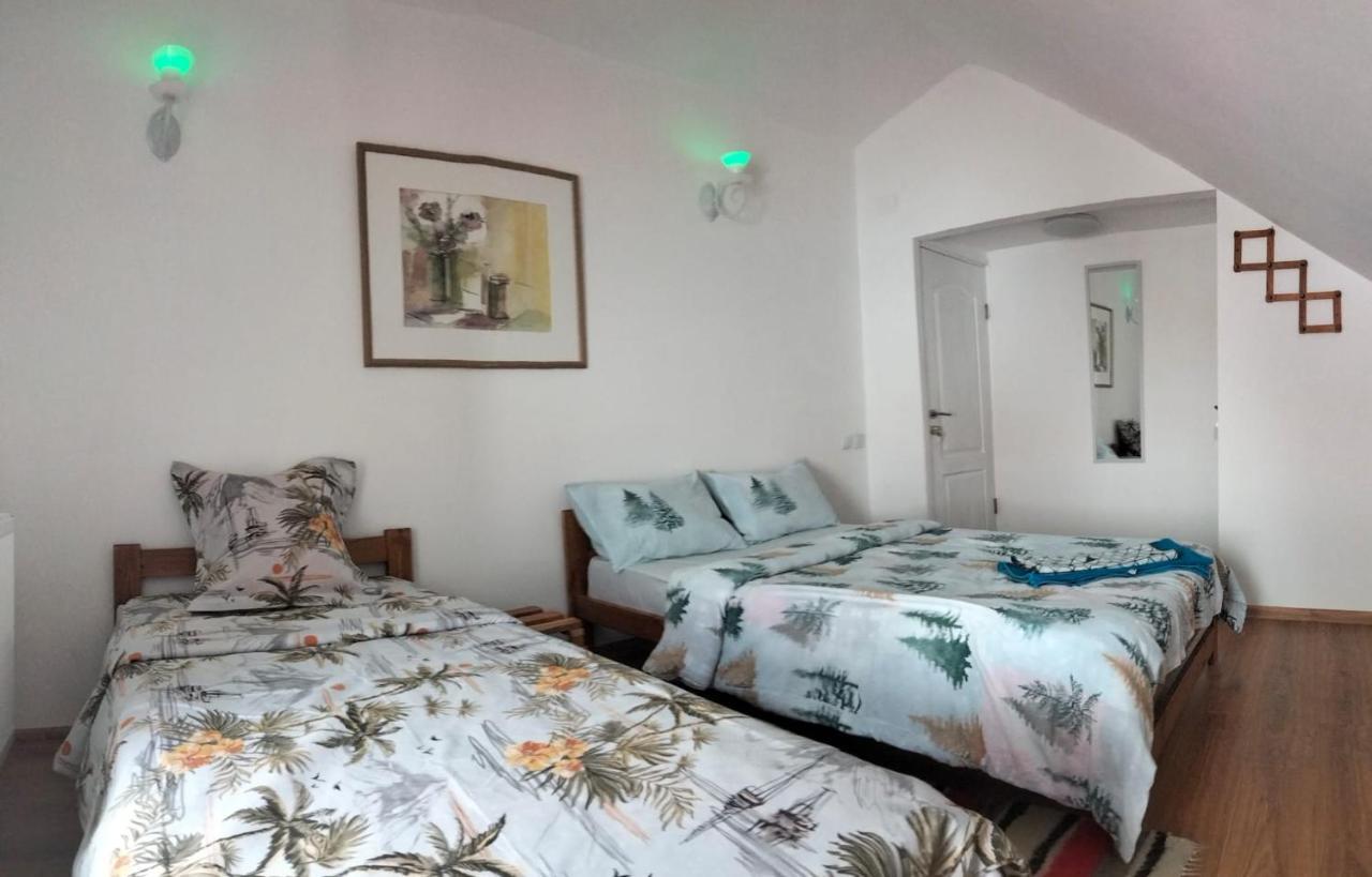 Doi Iepuri Daire Azuga Dış mekan fotoğraf