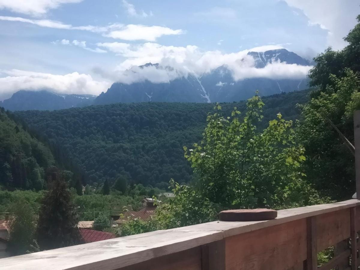 Doi Iepuri Daire Azuga Dış mekan fotoğraf